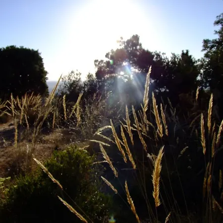 Cortijo Balzain * La Zubia (Granada)
